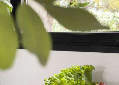 cocina-en-verde-madera-con-isla-grande maria-del-valle-estudio-Los- Molinos